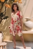 Picture of Blush Garden Ruffle-Hem Short Dress