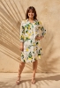 Picture of Lemon Pattern Casual Shirt Dress